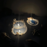 DEMO romantic scallop ocean Candle